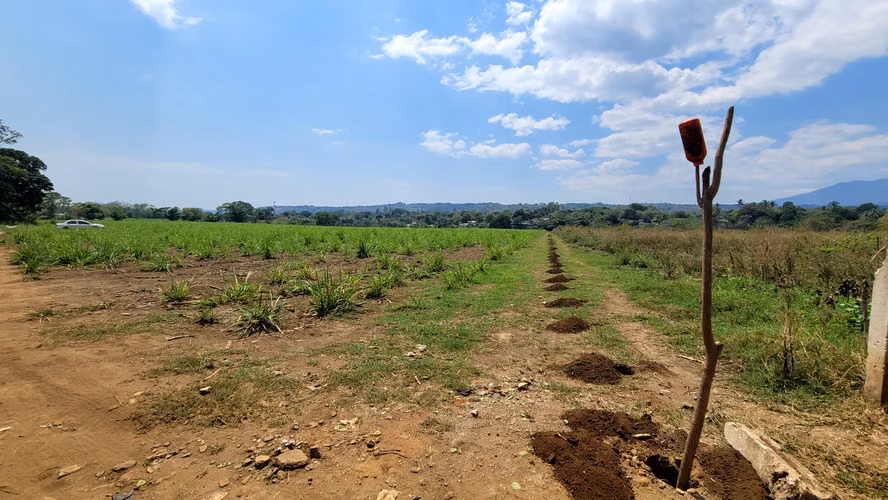 Terreno en alquiler en Sonsonate – Ideal para camiones, logística (3 manzanas)