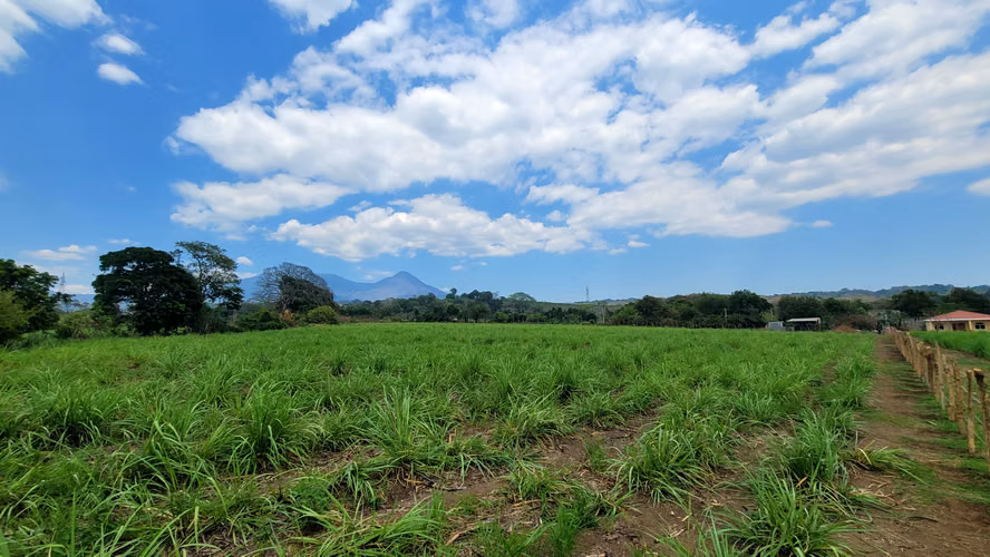 Terreno en alquiler en Sonsonate – Ideal para camiones, logística (3 manzanas)