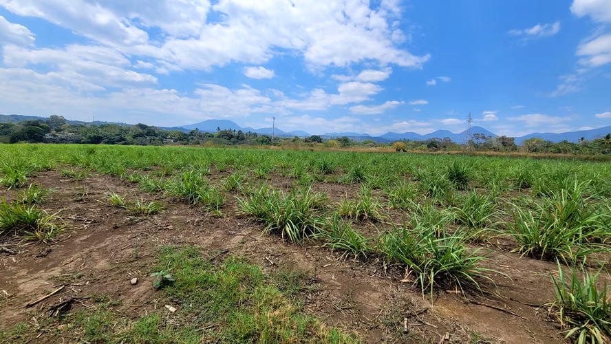 Terreno en alquiler en Sonsonate – Ideal para camiones, logística (3 manzanas)