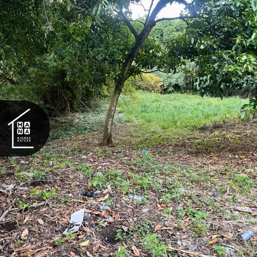 TERRENO EN VENTA SAN ANDRÉS, CIUDAD ARCE, LA LIBERTAD - Imagen 4
