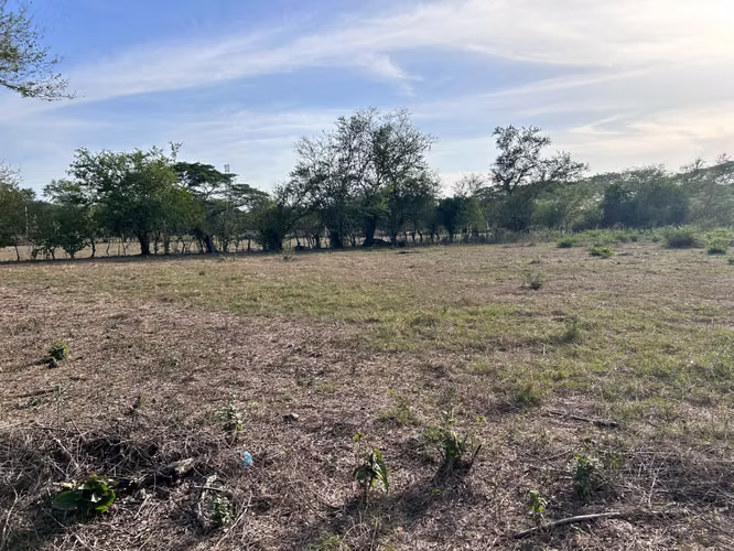Venta de 3 parcelas de 722,750,750 Mts² - Imagen 5