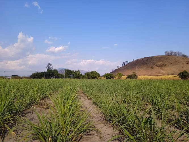 SE VENDE TERRENO  1 Mz. EN NEJAPA ZONA  HACIENDA MAPILAPA - Imagen 4