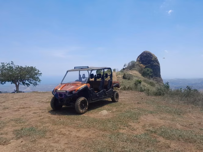 buggy