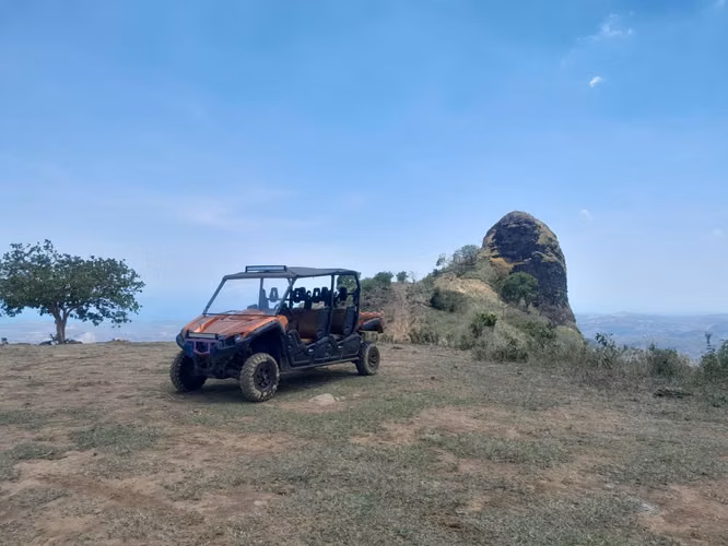 buggy