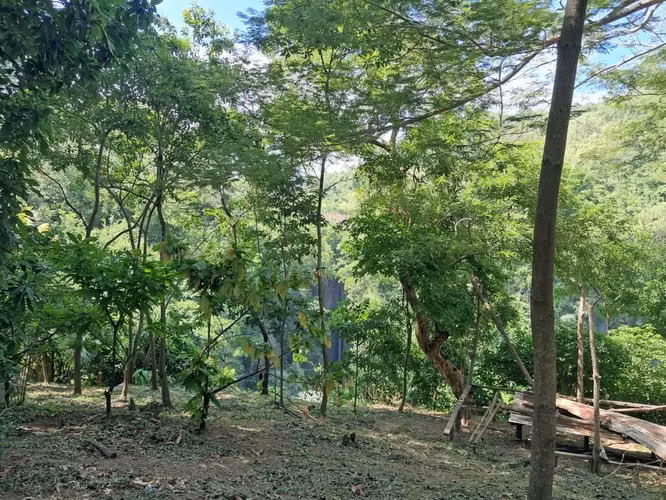 Lote en venta - Imagen 5