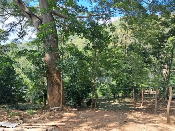 Lote en venta - Imagen 3
