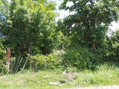 VENTA PARCELA 880 METROS CHILCUYO TEXISTEPEQUE SANTA ANA - Imagen 13