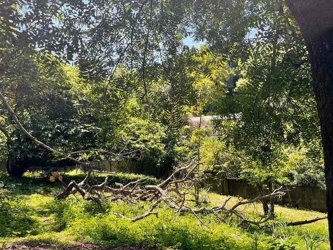 Terreno en Venta Brisas de las Mercedes Zaragoza