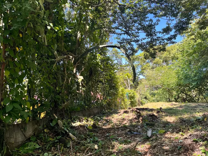 Terreno en Venta Brisas de las Mercedes Zaragoza