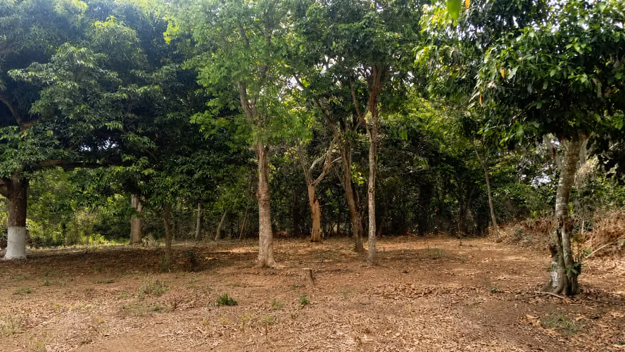 Derecho de Lote en proyecto Hacienda Los Naranjos - Imagen 2