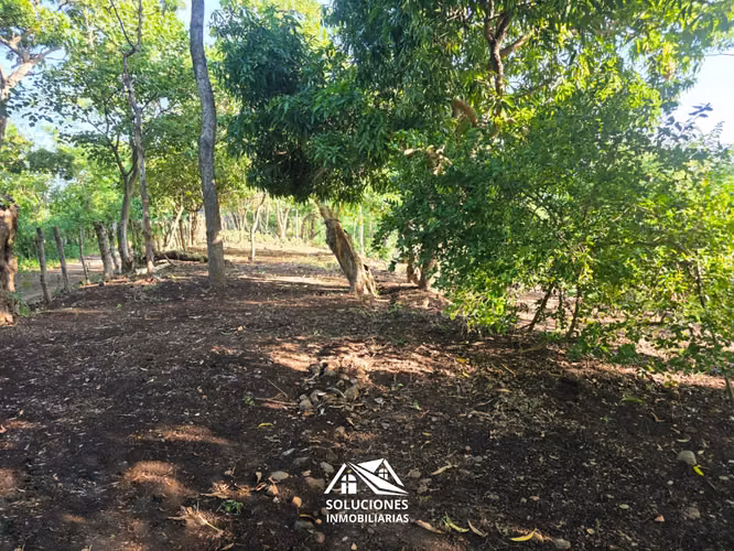 SE VENDE TERRENO DE 2577 METROS | UBICADO EN GUAYMANGO, AHUACHAPÁN - Imagen 1