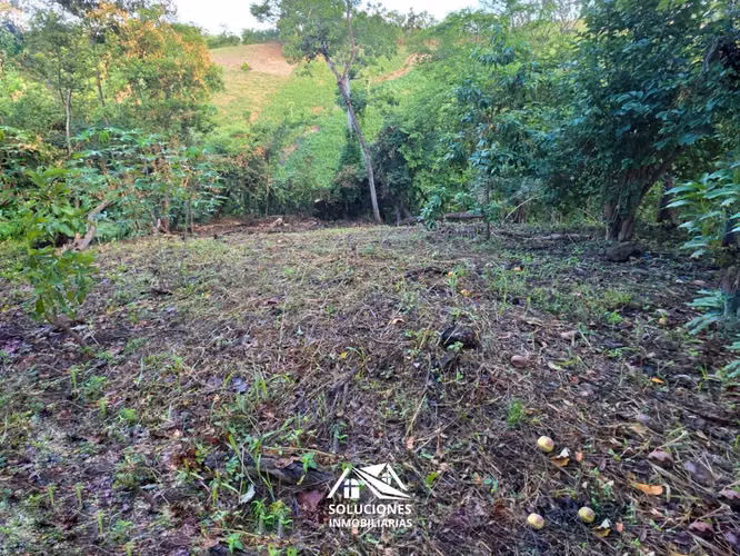 SE VENDE TERRENO DE 2577 METROS | UBICADO EN GUAYMANGO, AHUACHAPÁN - Imagen 6