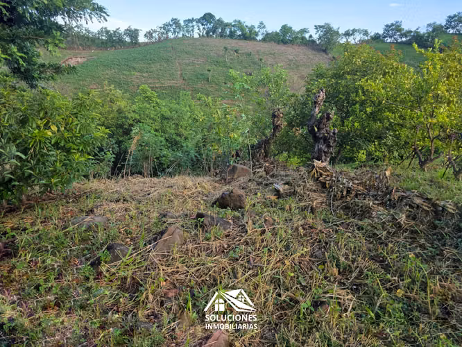 SE VENDE TERRENO DE 2577 METROS | UBICADO EN GUAYMANGO, AHUACHAPÁN - Imagen 8