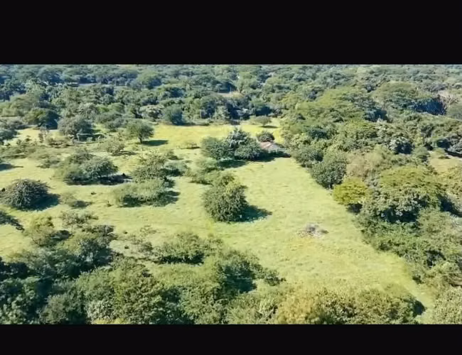 23 MZ Y MEDIA EN YAMABAL MORAZAN, SE VENDEN TODAS JUNTAS