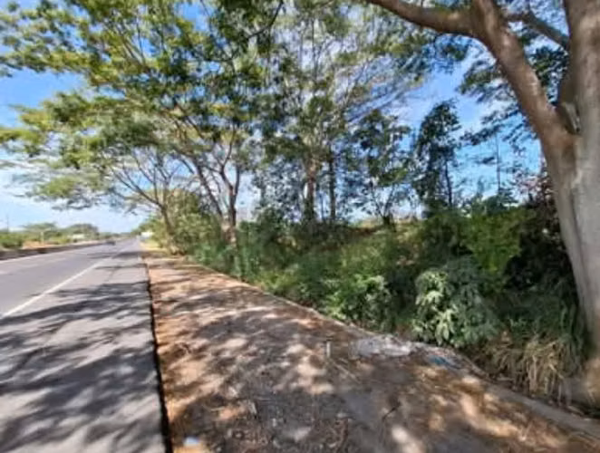 TERRENO EN ZACATECOLUCA, orilla de de carretera. - Imagen 4