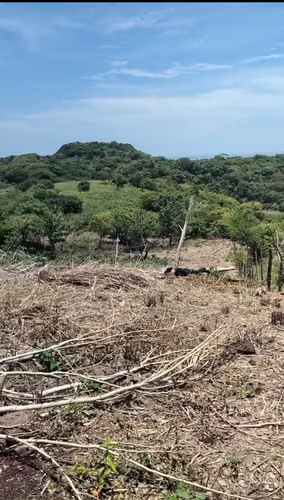 Bonito terreno en venta- se aceptan Bitcoin  - Imagen 6