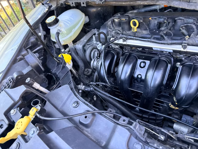 FORD ESCAPE 2019