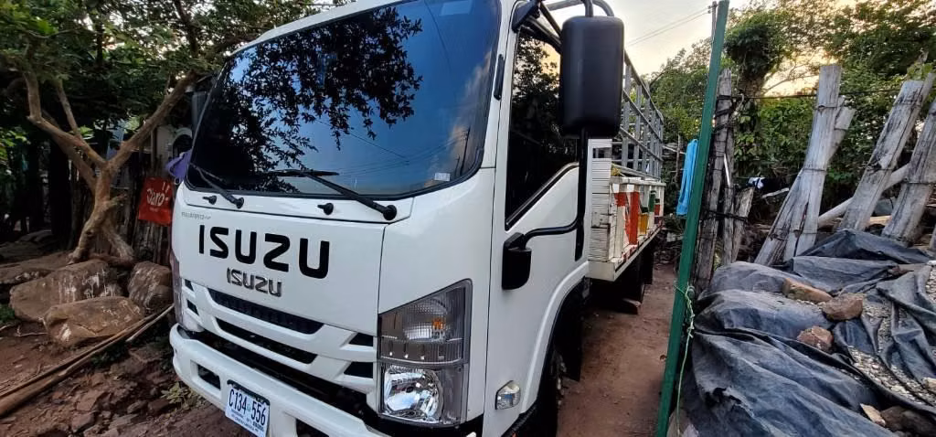 CAMION ISUZU NPR 2025 NITIDO