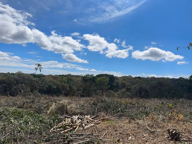 54.6 Mzs DE TERRENO EN VENTA, EN SANTA ANA - Imagen 5