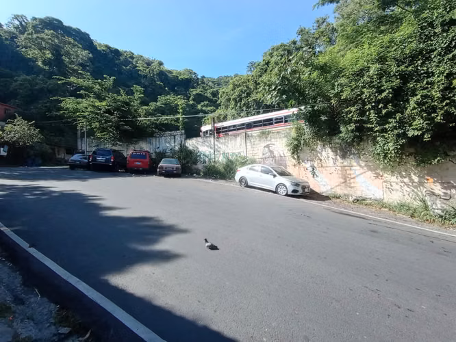 VENDO TERRENO PLANO AL FINAL DE CALLE MEXICO SAN JACINTO YA PRODUCIENDO RENTA - Imagen 2