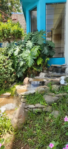 Casa de Lujo en Alquiler con Piscina Privada y Seguridad 24/7 – Residencial Exclusiva