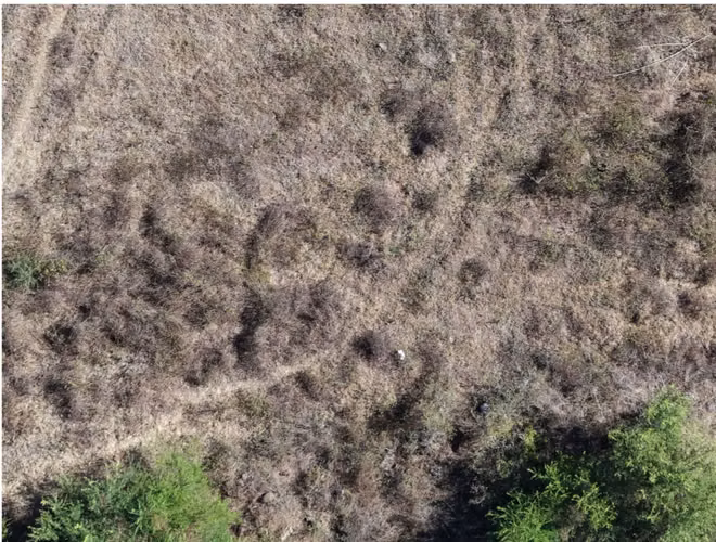 Terreno plano sobre Carretera Litoral | 87,040 m² | salida de Usulutan, El Salvador - Imagen 12