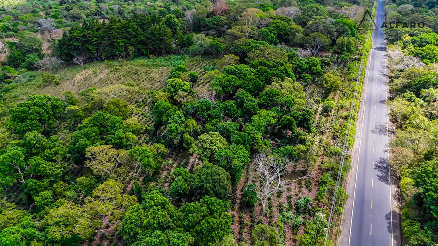 Oportunidad en Ruta de las Flores: Terreno Estratégico Apaneca-Salcoatitán Desde $90/v² - Imagen 5