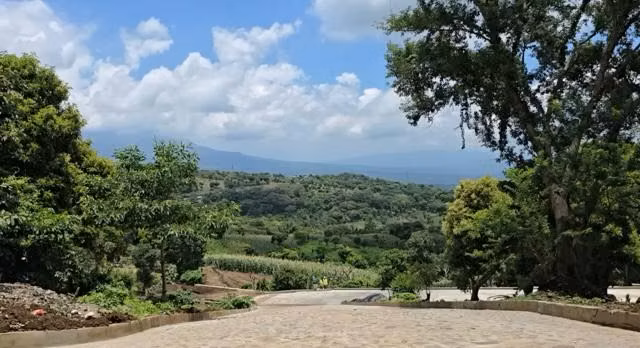 RUTA DE LAS FLORES | Naturaleza, exclusividad y alta plusvalía.