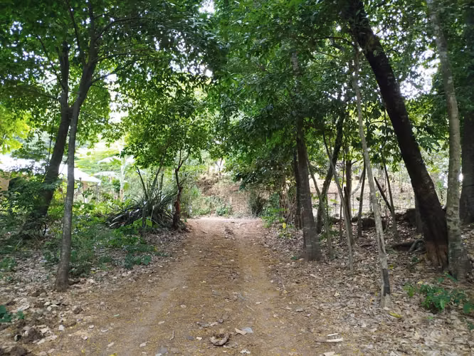 Terreno en venta - Osicala, Morazan