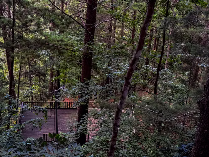 Terreno con Cabaña y Acceso al Río Sumpul La Palma Chalatenango