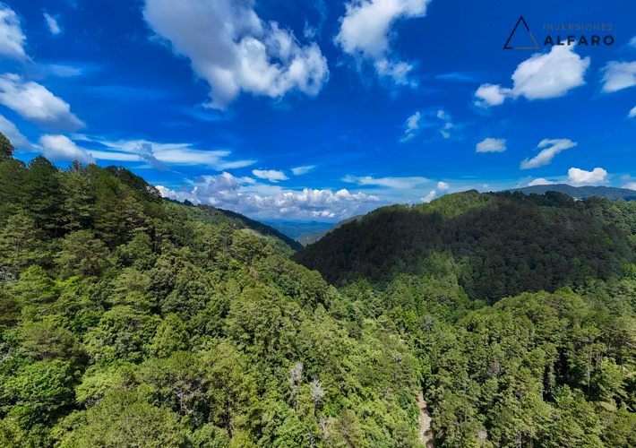 Terreno con Cabaña y Acceso al Río Sumpul La Palma Chalatenango - Imagen 3