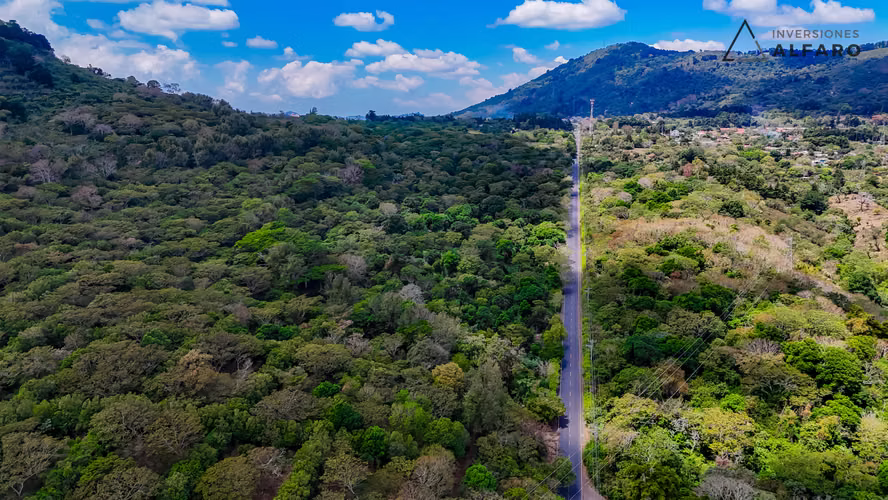 Macro Terreno en Apaneca 12 Mz Desde $90/v²