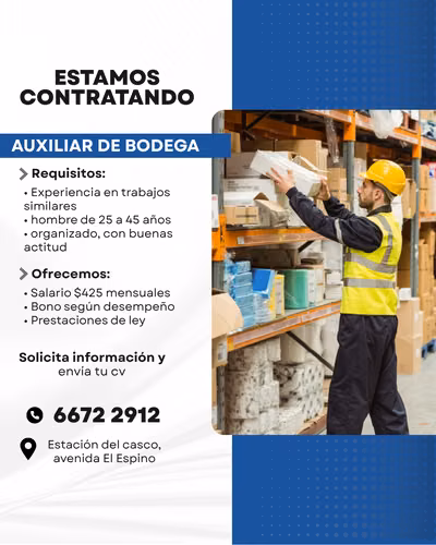Auxiliar de Bodega