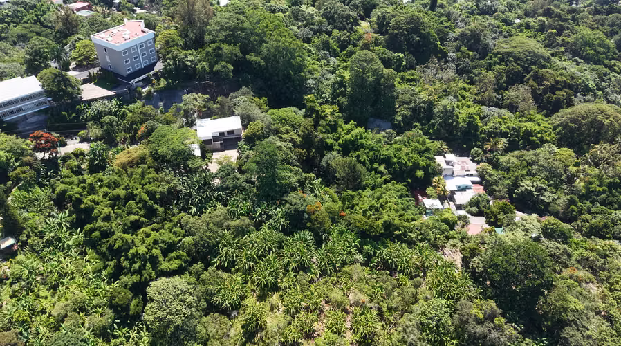 ¡Terreno en Venta en Los Planes de Renderos!