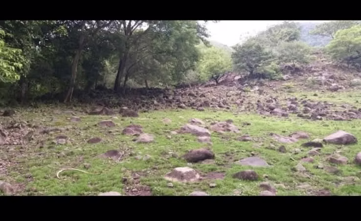 219MZ EN SAN ILDELFONSO, CERCA DE C/ PANAMERICANA, S.V. TODAS JUNTAS