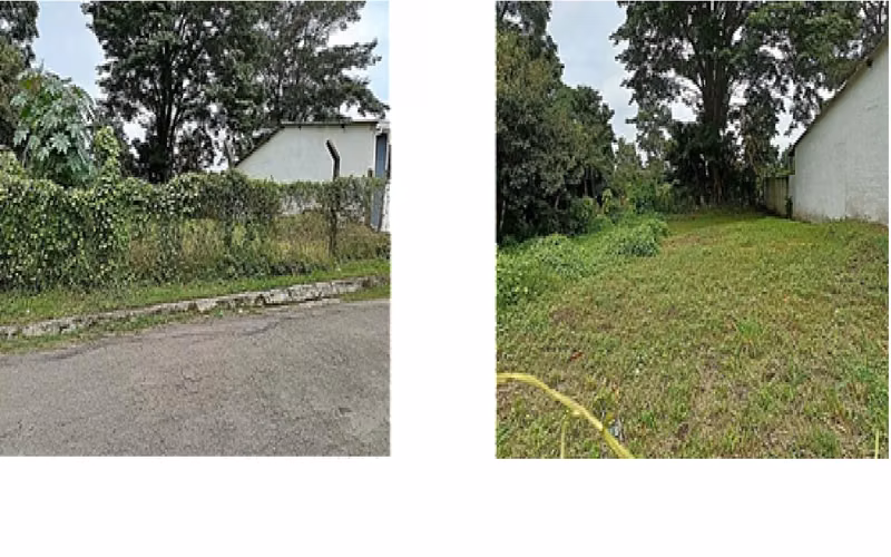 Lote Col La Esperanza, Lourdes Colon