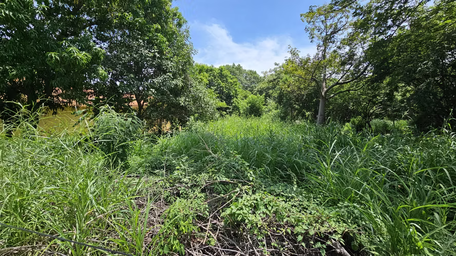 Venta de terreno de playa en Residencial Las Veraneras, Los Cóbanos, Sonsonate