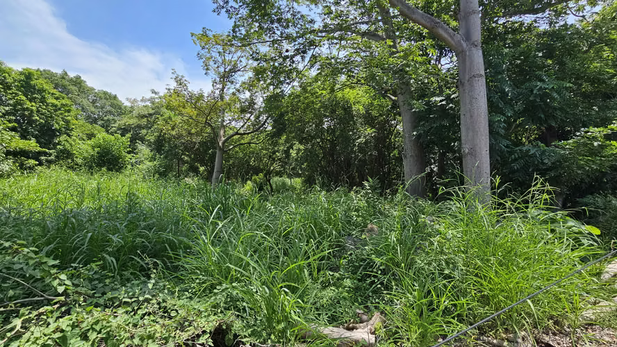Venta de terreno de playa en Residencial Las Veraneras, Los Cóbanos, Sonsonate