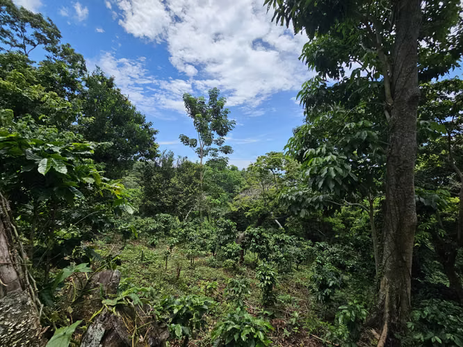 Venta de finca en Usulután