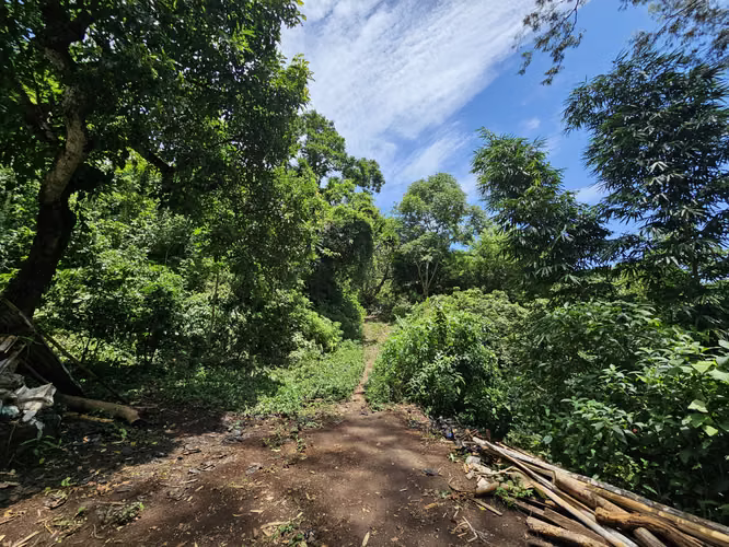 Venta de finca en Usulután - Imagen 8