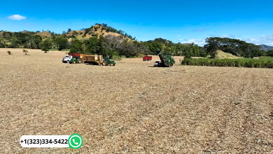  60 Mz Agrícolas en Texistepeque | Tierra Fértil + Financiamiento