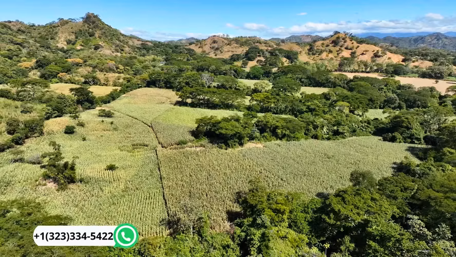  60 Mz Agrícolas en Texistepeque | Tierra Fértil + Financiamiento