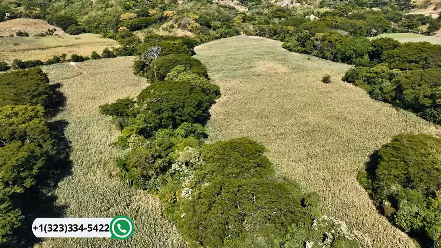  60 Mz Agrícolas en Texistepeque | Tierra Fértil + Financiamiento
