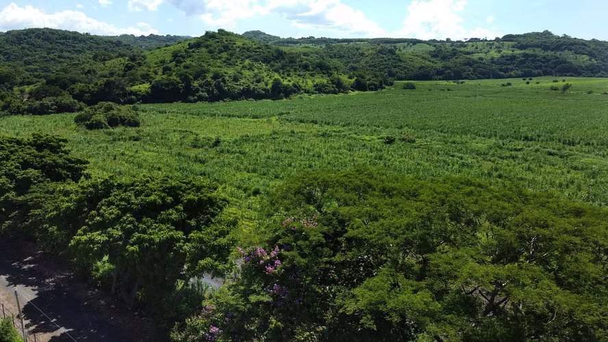 Venta de 57 manzanas de Terreno en San Diego La Libertad acceso a Litoral - Imagen 9