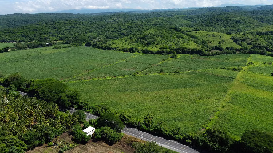 Venta de 57 manzanas de Terreno en San Diego La Libertad acceso a Litoral - Imagen 7