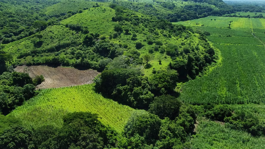 Venta de 57 manzanas de Terreno en San Diego La Libertad acceso a Litoral - Imagen 14