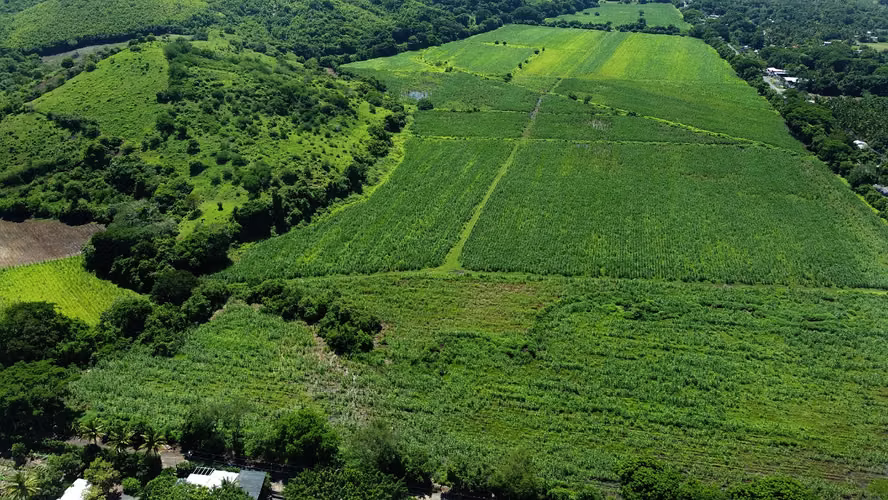 Venta de 57 manzanas de Terreno en San Diego La Libertad acceso a Litoral - Imagen 8