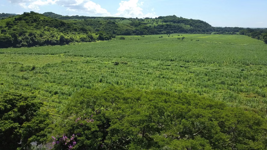 Venta de 57 manzanas de Terreno en San Diego La Libertad acceso a Litoral - Imagen 11