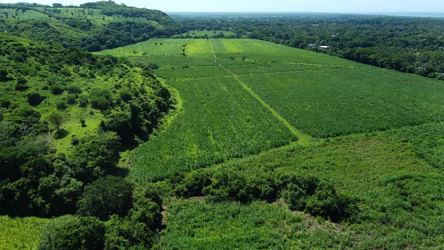 Venta de 57 manzanas de Terreno en San Diego La Libertad acceso a Litoral - Imagen 13