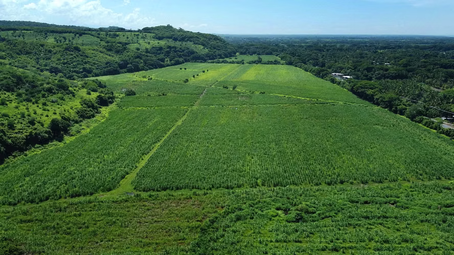 Venta de 57 manzanas de Terreno en San Diego La Libertad acceso a Litoral - Imagen 15
